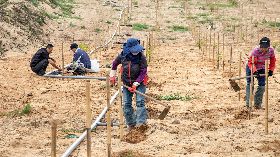 把握梅雨　金門林務所水寶盆造林