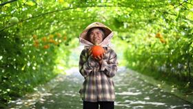 圖／勿用！！！！！！！！！！！！！！！！！！！！！！！！！！！！！！！！！！南瓜,虹夕諾雅,淡水南瓜食驗生活節,南瓜隧道,陳耀恩