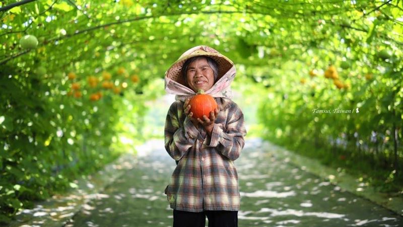 夏日慶典！開箱淡水南瓜食驗生活節