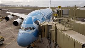 TripPlus／全日空頭等艙的機型營運路線與兌換方式