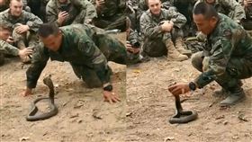 影／眼鏡蛇攻擊姿態　士兵徒手抓蛇頭
眼鏡蛇,士兵,抓蛇
翻攝自IG sportscenter