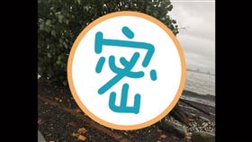 韓國瑜,樹,國瑜樹,市境之南,倒塌