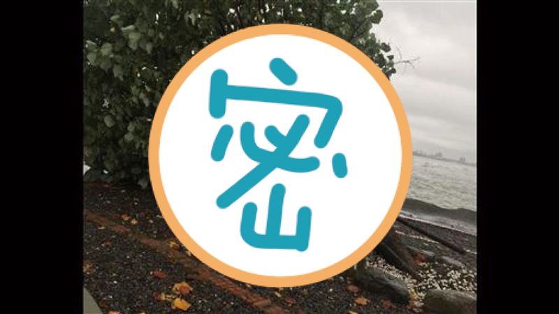 天意？高雄「國瑜樹」不敵風雨倒地！