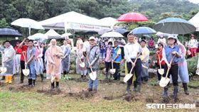 新北種樹（農業局提供）