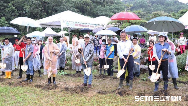 強化森林覆蓋率　新北種下數百棵樹苗