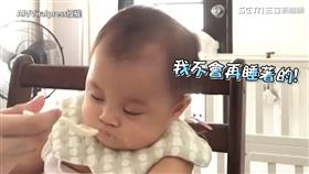 ▲Haylee的媽媽準備餵她下一口，但眼皮又不爭氣的重了下去閉上眼睛。（圖／AP/Viralpress授權）