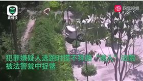 大陸,雲南,法院,警察,追捕,牆（圖／翻攝自網易新聞視頻）