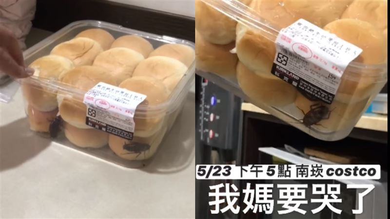 好市多餐包遭入侵！2巨物冒出她呆掉
