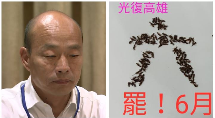 高雄人怒了！曝百隻「屍體」嗆韓國瑜