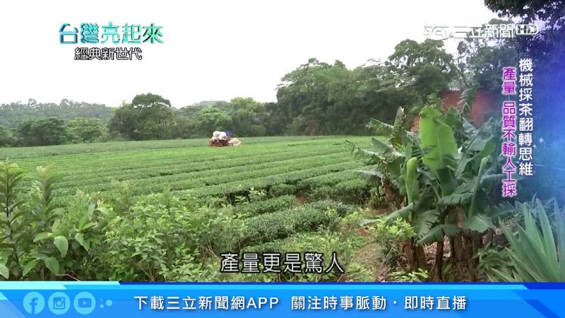 龜山茶農第三代　發展茶園代耕新農法