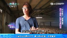 K墨魚牛仔褲1800