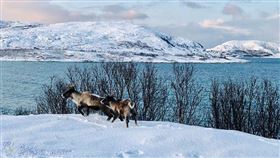 名家專用／草根影響力新視野（勿用）
