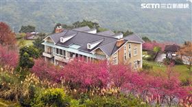 透天厝,民宿。（圖／記者陳韋帆攝影）