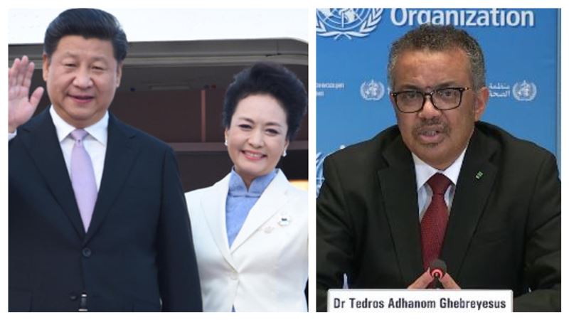 世衛為親中做那些事？學者戳破真相