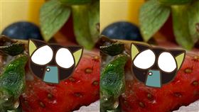 民眾買到草莓發霉的蛋糕，但店家去堅稱「凍傷」。（圖／翻攝自爆怨公社）