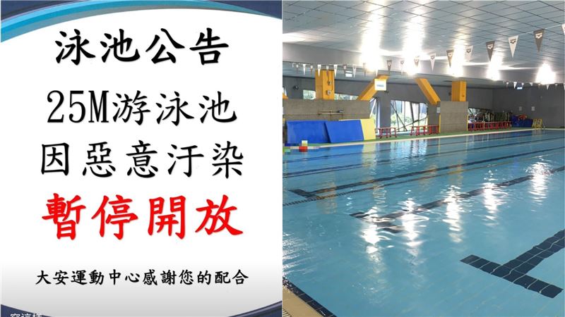 獨／嚇！泳客惡意排泄　條狀物水上漂