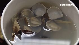 文 這不是蛤蜊1800