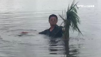 稻穀泡5天　農民嘆：血汗錢完蛋了
