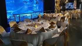 武漢肺炎,水族館,雪梨,澳洲,凱恩斯水族館,魚,餐廳,素魚,動保團體,PETA（圖／翻攝自Cairns Aquarium）