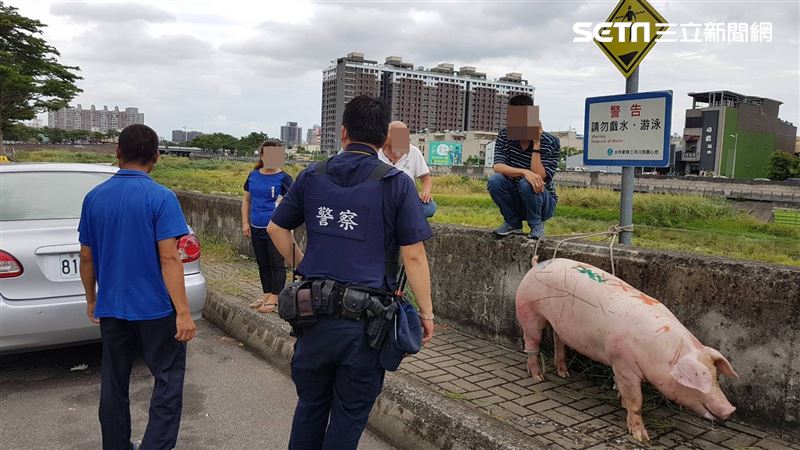 糊塗司機門沒關　「豬隊友」沿途逃亡