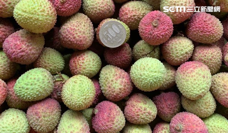 首班類包機　玉荷包、愛文芒果飛日本