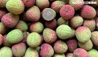 首班類包機　玉荷包、愛文芒果飛日本