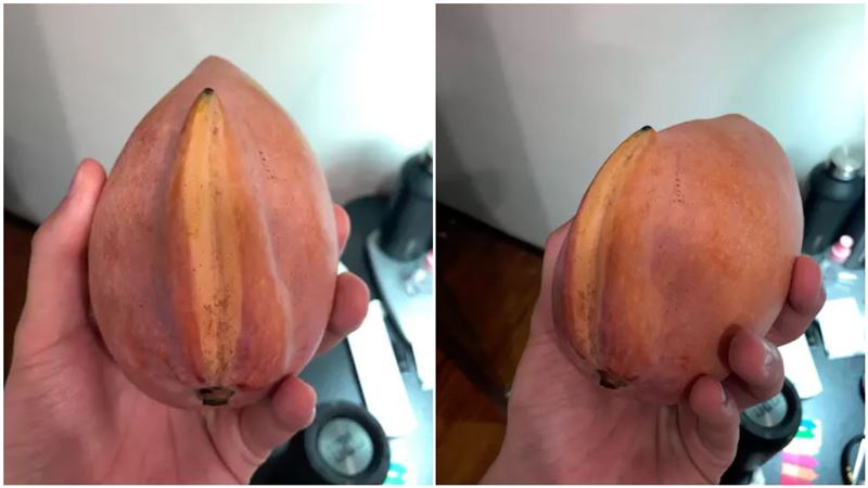 他拿芒果驚「手感不對」　網全羞爆