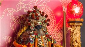 雲林北港武德宮,天官武財神,財神廟,「玄壇元帥」趙公明（圖／翻攝自北港武德宮-財神開基祖廟FB）