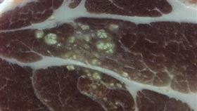 豬梅花,打針,凸起物,爆漿(翻攝自 爆系知識家)