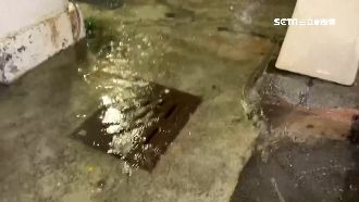 高雄淹水原因曝　居民：水溝1年沒清