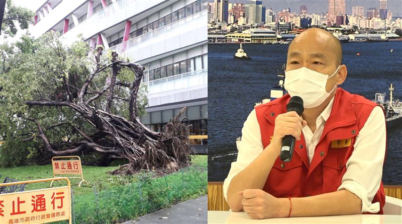 韓國瑜「樹」接連倒　他曝不祥之兆