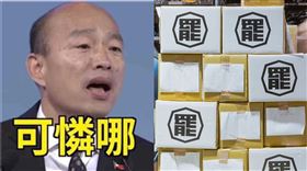高雄,韓國瑜,罷免,罷韓,尹立,防疫暖心包,高雄振興購物嘉年華