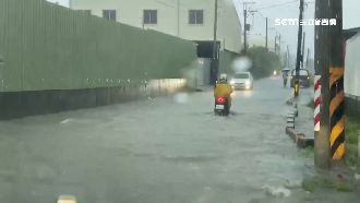 瓦厝路逢雨必淹　恐水閘門未開釀禍