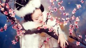 超強情敵！皇上為她把楊貴妃趕回娘家２次 梅妃