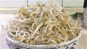  她用「水壺」種出白白胖胖豆芽菜 成功秘訣只有一個（圖／翻攝自我愛全聯-好物老實説）