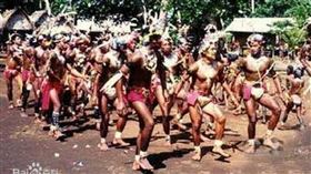 ▲卡圖馬族甘藷節（圖／翻攝自百度百科）