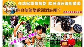 詐騙網頁,葡萄農,張乘瑜,埔心,胡志豪(圖/翻攝自胡志豪臉書)