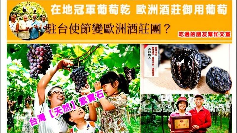 彰化葡萄農感人故事賺淚…警喊：別點