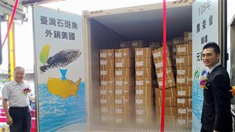 拓展石斑魚市場　漁業署祭獎勵奏效