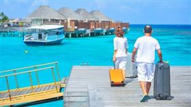 名家／草根（勿用）