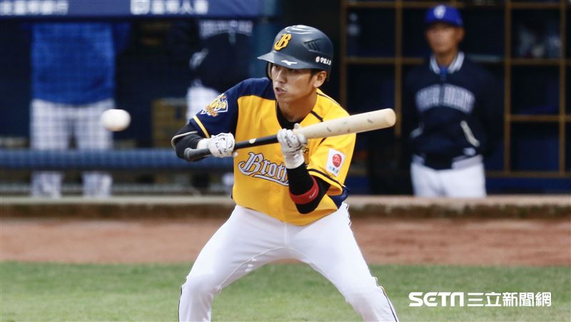 中職／首球打擊率4割！王威晨最愛打
