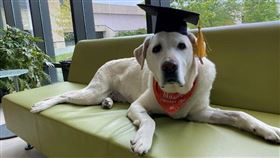 
　名家專用／草根影響力新視野（勿用）