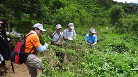 剷除小花蔓澤蘭　全台剷逾5700公斤農委會林務局各林區管理處7日同步在宜蘭、新竹、台中、台南、高雄、屏東、台東及花蓮等8縣市，辦理11場次小花蔓澤蘭剷除活動，總計剷除5709公斤小花蔓澤蘭，為台灣生態環境共盡心力。（林務局提供）中央社記者吳欣紜傳真　108年9月7日