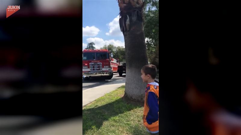9歲童生日派對取消　警消獻聲祝福