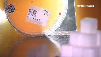 一杯超標！冬瓜檸檬換算含14顆方糖