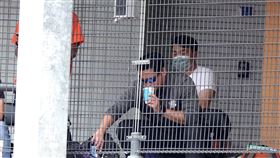 玉山盃青棒開打　彭政閔場邊觀戰109年玉山盃全國青棒錦標賽29日開打，吸引中職各隊球探到場觀察球員，中信兄弟隊農場主管兼副領隊彭政閔（後白衣者）也現身場邊，他表示，原規劃到國外進修，但碰上武漢肺炎疫情，剛好趁機會在台灣多看業餘比賽。中央社記者謝靜雯攝　109年5月29日