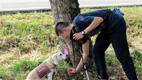 米格魯犬化身樹醫生　嗅覺快篩林木染褐根病嘉義林管處發現觸口教育園區林木疑有褐根病，由米格魯犬擔任樹醫生進行林木「快篩」，林木若染病，米格魯偵查犬會馬上坐下。（嘉義林管處提供）中央社記者黃國芳傳真　109年5月29日