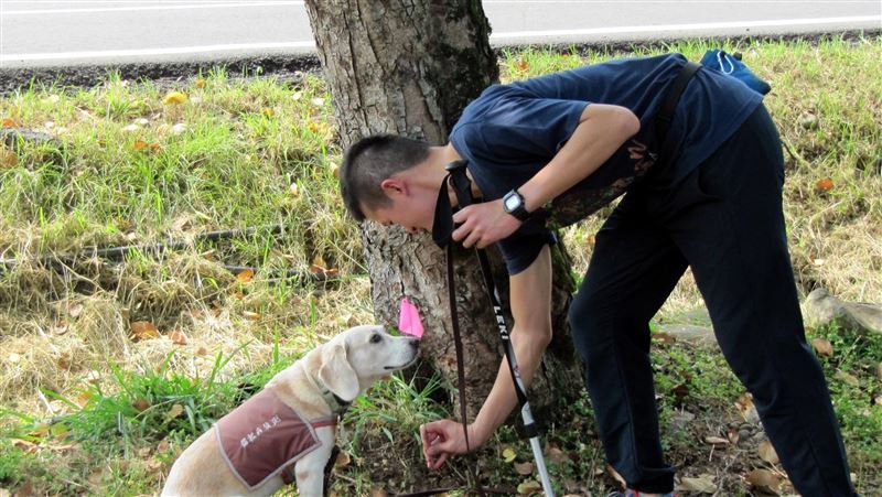 米格魯犬化身醫生　嗅覺快篩褐根病
