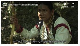 太魯閣國家公園委外製作「森境太魯閣」生態影片，歷時3年拍攝完成，在美國休士頓國際影展競賽獲得紀錄片類首獎白金獎。(圖/翻攝自Youtube)