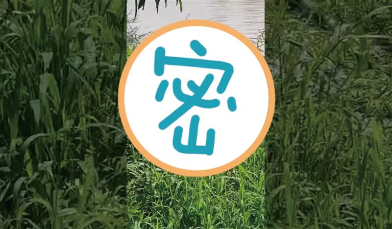 枋寮驚現酷斯拉！縣府展開獵龍行動